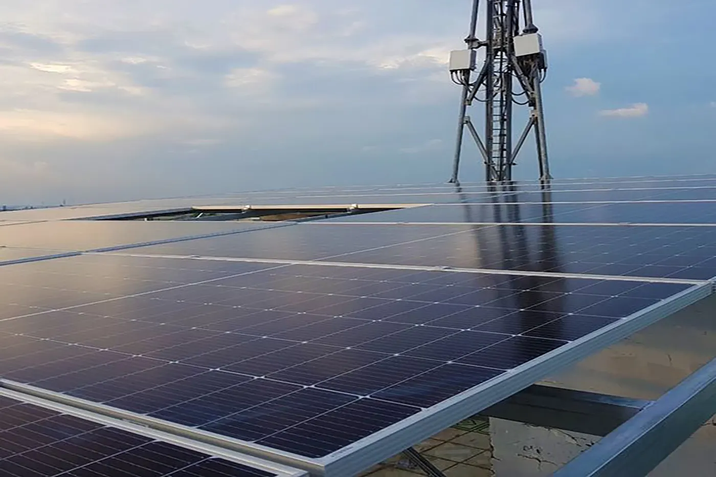 Tầm Quan Trọng Của Năng Lượng Tái Tạo